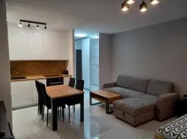 Tauzen Apartaments 18