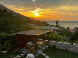 Aloha House