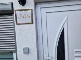 Apartment MILA