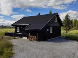 Bjørkefinken by Norgesbooking - cabin for hiking and skiing