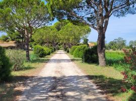 Mas du Grand Peloux, guest house in Port-Saint-Louis-du-Rhône