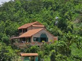 Nhà Gach Cổ-Antique Brick House