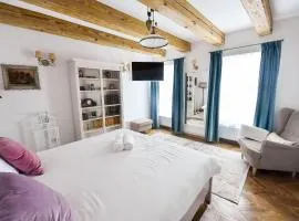 Casa Baritiu M