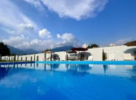 Sunny Kvareli