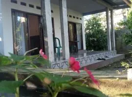 Zian guest house