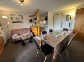 Vallandry : Duplex 3 pièces, 8 pers, accès direct pistes, animaux admis, casier à skis - FR-1-757-102