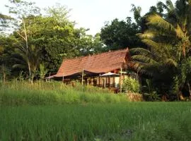 Homestay BanyuAsri Rejosari