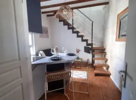 Joli duplex, climatisé, avec local à vélos