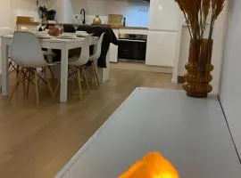 Nice and cosy flat near Geneva or Annecy