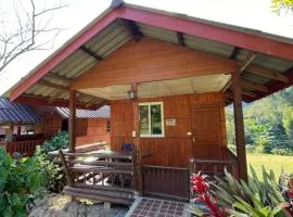 Angha forest view บ้านไผ่งาม