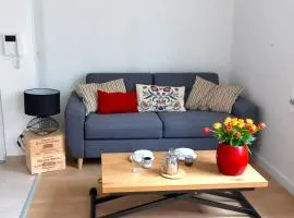 Grand studio parking-bord de Loire- hyper centre