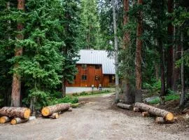 Cabin on the Edge of Forever