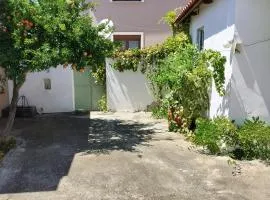 ilkay's House