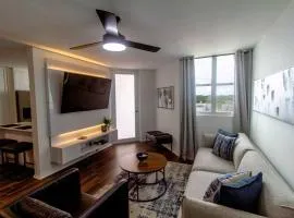 Modern Penthouse in Carolina