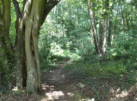 Oasis Verte、La Calamineのホテル