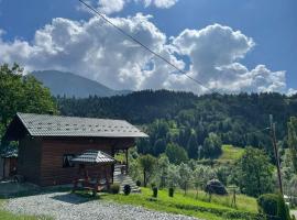 Borşa में, होटल CABANA MERISORULUI