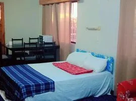 Singhs apartment gray road