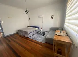 CASA ROMÁN Habitación en Providencia con áreas compartidas