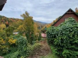 Smoky Heights Overlook, Luxury Log Cabin, Mountain & City Views
