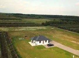 Domek wśród Jabłonek