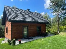 Domek na Zagórze - domek całoroczny