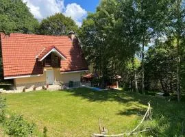 Mountain Vila in Ponikva