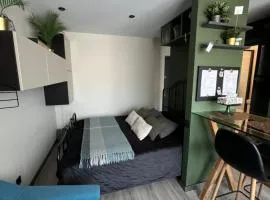 Cozy Studio Charming Spot - superb location Piņķi