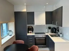 Urban resident by the ferry