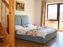 Pensiunea La Maison
