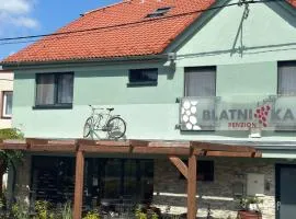 Penzion Blatnička