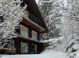 Ferienwohnung in Sch&ouml;nwald Schwarzwald