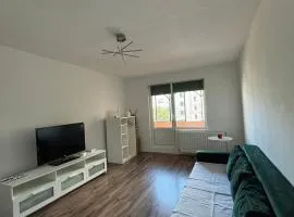 ALE TEO APARTAMENT
