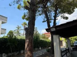 Villa Nina