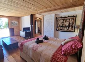 Appartement Atypique Saxel, Hotel in Saxel