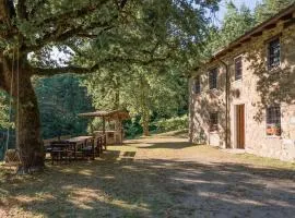 Abissinia, Gioiello nel Bosco