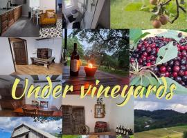 Pod vinogradi, hotel v destinaci Škocjan