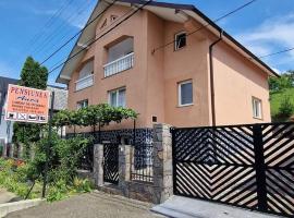Pensiunea Anca, Hotel in Rona de Jos
