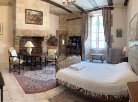 16th Century Manoir du Belvedere - central, unique, historical, with all modern amenities