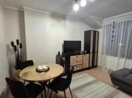 Apartament w Centrum
