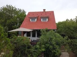 Fig Tree house