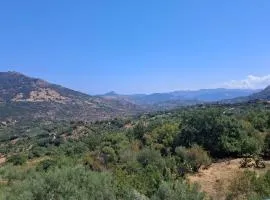 Dolce-Vista