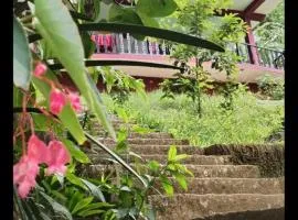 Ella Shali's home