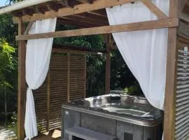 Bas de Villa Dumont T3 calme avec jacuzzi