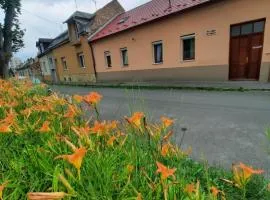 Kis Rigó vendégház