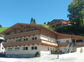 Haus Dienten Top 11