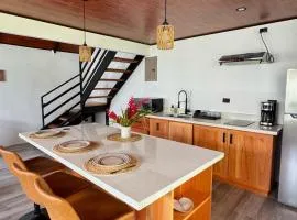 Alma Vida Lofts