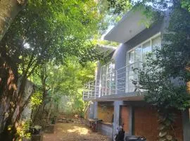 Hasthi homestay