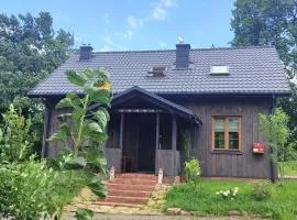 Świętokrzyskie Stodoła Kasztanowa Aleja Radkowice