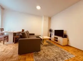 Exclusive apartment with a great location Standard 12419