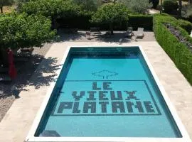 Le Vieux Platane